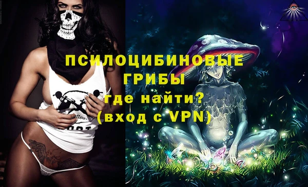 соль ск Алексеевка