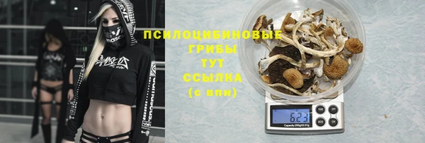 a pvp Армянск