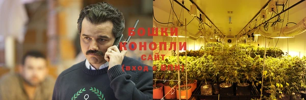 соль ск Аркадак