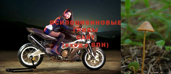 соль ск Аркадак
